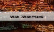 足球胜负（足球胜负彩玩法介绍） 