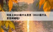 抖音上8023是什么意思（8023是什么意思啊婚检） 