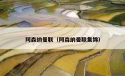 阿森纳曼联（阿森纳曼联集锦） 