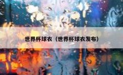 世界杯球衣（世界杯球衣发布） 