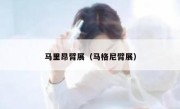 马里昂臂展（马格尼臂展） 