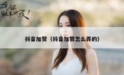 抖音加赞（抖音加赞怎么弄的） 