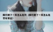 限行跑了一天怎么处罚（限行跑了一天怎么处罚石家庄） 