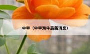 中甲（中甲海牛最新消息） 