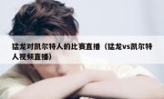 猛龙对凯尔特人的比赛直播（猛龙vs凯尔特人视频直播） 