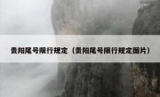 贵阳尾号限行规定（贵阳尾号限行规定图片） 