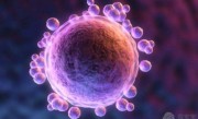 沈阳私立生殖医院试管婴儿成功率，2022助孕成功率与费用估算