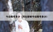 今日限号多少（河北邯郸今日限号多少） 