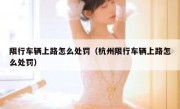 限行车辆上路怎么处罚（杭州限行车辆上路怎么处罚） 