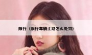 限行（限行车辆上路怎么处罚） 