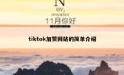 tiktok加赞网站的简单介绍 