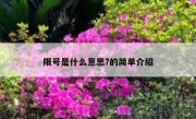 限号是什么意思?的简单介绍 