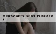 意甲球员进球后呼吁待在家中（意甲球迷入场） 