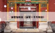 油管加粉丝（油管一千万粉丝） 
