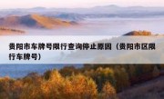 贵阳市车牌号限行查询停止原因（贵阳市区限行车牌号）