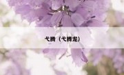 弋腾（弋腾龙） 