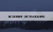 澳门足球陪率（澳门可以买足球吗） 