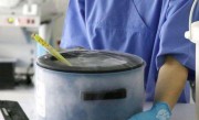 2022鞍山妇儿医院试管婴儿收费标准(附最新费用明细表)