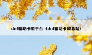 dnf辅助卡盟平台（dnf辅助卡盟总站） 