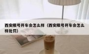 西安限号开车会怎么样（西安限号开车会怎么样处罚） 
