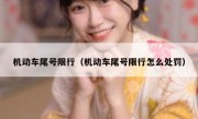 机动车尾号限行（机动车尾号限行怎么处罚） 