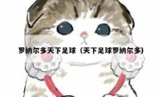 罗纳尔多天下足球（天下足球罗纳尔多） 