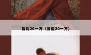 鲁能20一方（鲁能20一方） 