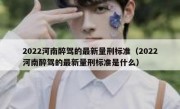 2022河南醉驾的最新量刑标准（2022河南醉驾的最新量刑标准是什么） 