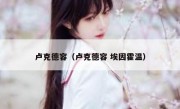 卢克德容（卢克德容 埃因霍温） 
