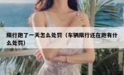 限行跑了一天怎么处罚（车辆限行还在跑有什么处罚） 