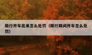 限行开车出来怎么处罚（限行期间开车怎么处罚） 