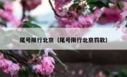 尾号限行北京（尾号限行北京罚款） 