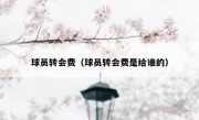 球员转会费（球员转会费是给谁的） 