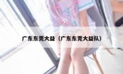 广东东莞大益（广东东莞大益队） 