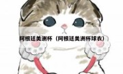 阿根廷美洲杯（阿根廷美洲杯球衣） 