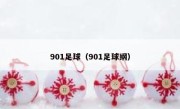 901足球（901足球纲） 