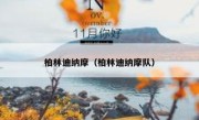 柏林迪纳摩（柏林迪纳摩队） 