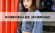 单行道限行是什么意思（单行道限行标志）
