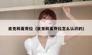 皮克和夏奇拉（皮克和夏奇拉怎么认识的） 