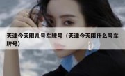天津今天限几号车牌号（天津今天限什么号车牌号） 