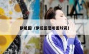 伊瓜因（伊瓜因是哪国球员） 