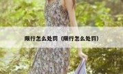 限行怎么处罚（限行怎么处罚） 
