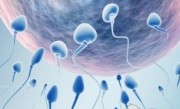 2022年武汉同济医院供卵试管生男孩最新版本费用明细一览