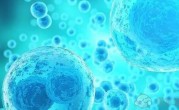 2022年上海六院试管婴儿包生男孩价格多少？十万的费用够吗？
