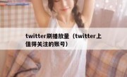 twitter刷播放量（twitter上值得关注的账号） 