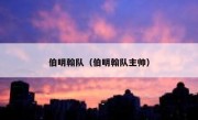 伯明翰队（伯明翰队主帅） 