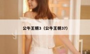 公牛王朝3（公牛王朝37） 