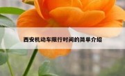西安机动车限行时间的简单介绍 