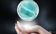 天门市第一人民医院试管婴儿多少钱？2022年试管费用详细