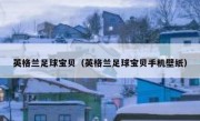 英格兰足球宝贝（英格兰足球宝贝手机壁纸） 